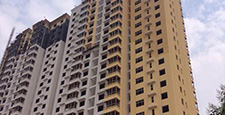 中国建筑涂料行业消费者调查报告
